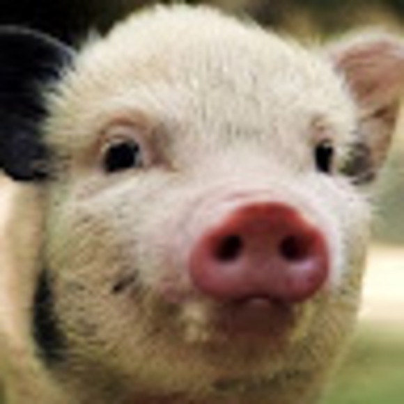 Meet your Posher, Kristina - Picture 1 of 1